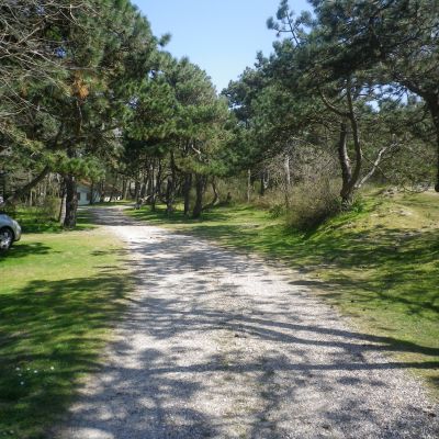 camping_du_halloy_chemin.JPG 